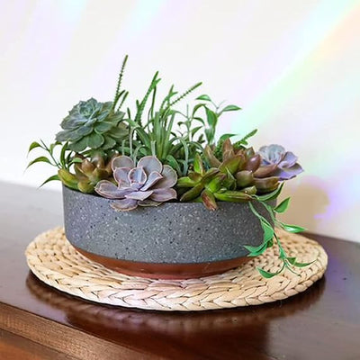 HC Companies 8" Capri Bowl Succulent Planter Set – Faux Concrete Copper, Indoor/Outdoor, Drainage Hole, 20-Pack