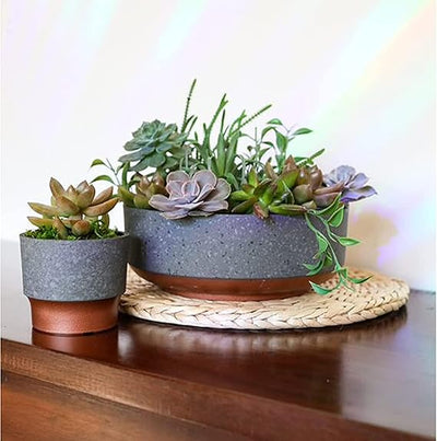 HC Companies 8" Capri Bowl Succulent Planter Set – Faux Concrete Copper, Indoor/Outdoor, Drainage Hole, 20-Pack